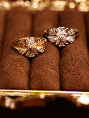 Versailles Diamond Brushed Ring